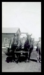 Knuth horses and Grandpa
