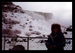 Rose at Niagara Falls in the Winter