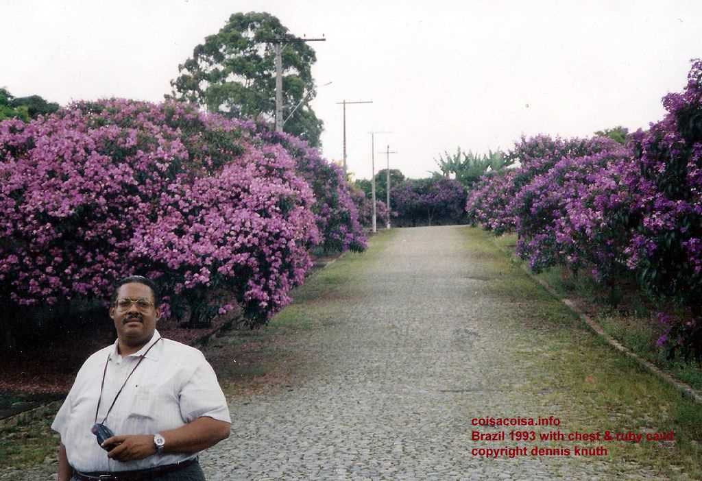 Chester Cavil among the flowers at Pampulha lake