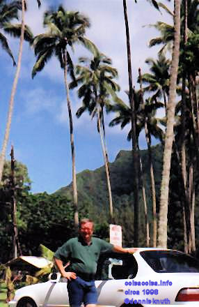 Dennis amongst towering palm trees