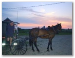 Amish at Sunset