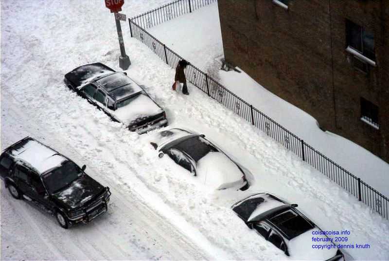 cars under 4 feet of snow