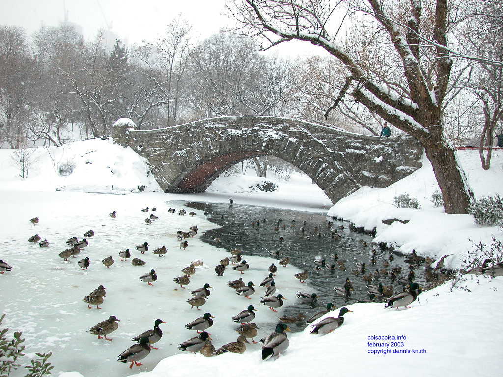 Central Park - Presidents Day Blizzard - February 17 2003