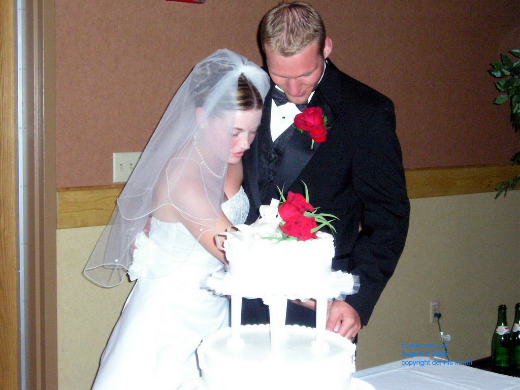 Justin and Julia the cake