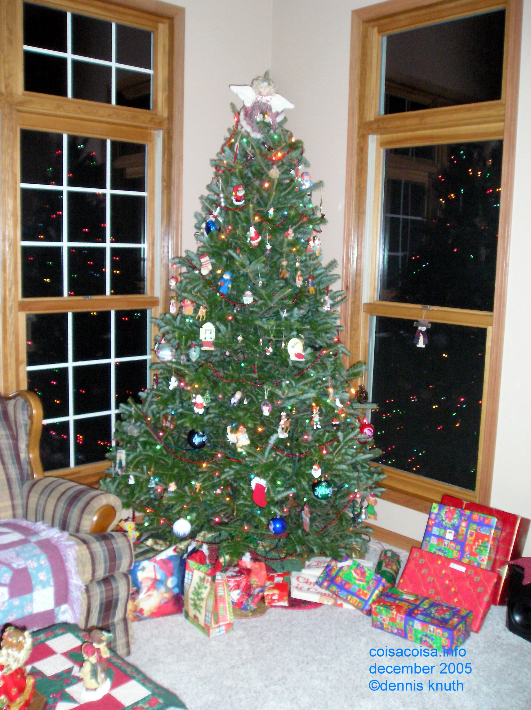 Sherri's First Christmas Tree