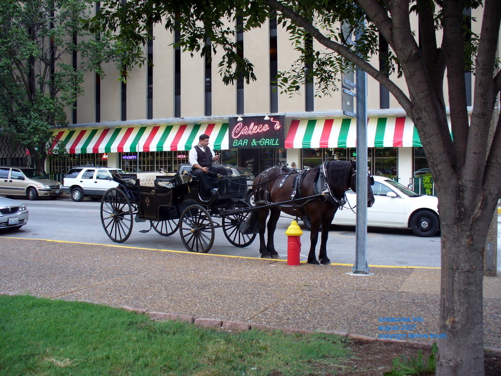 Calico Bar and Grill with carriage and horse and driver