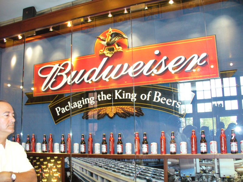 The many bottle types of Budweiser