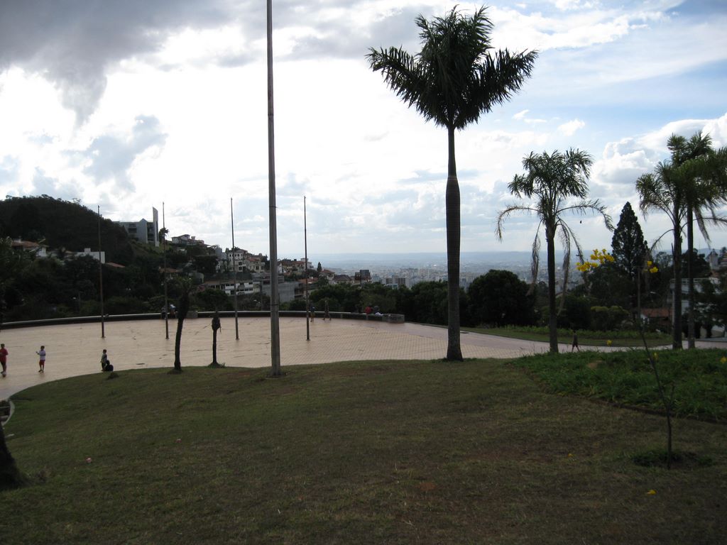 Palms at the Plaza of the Cross in Belo Horizonte