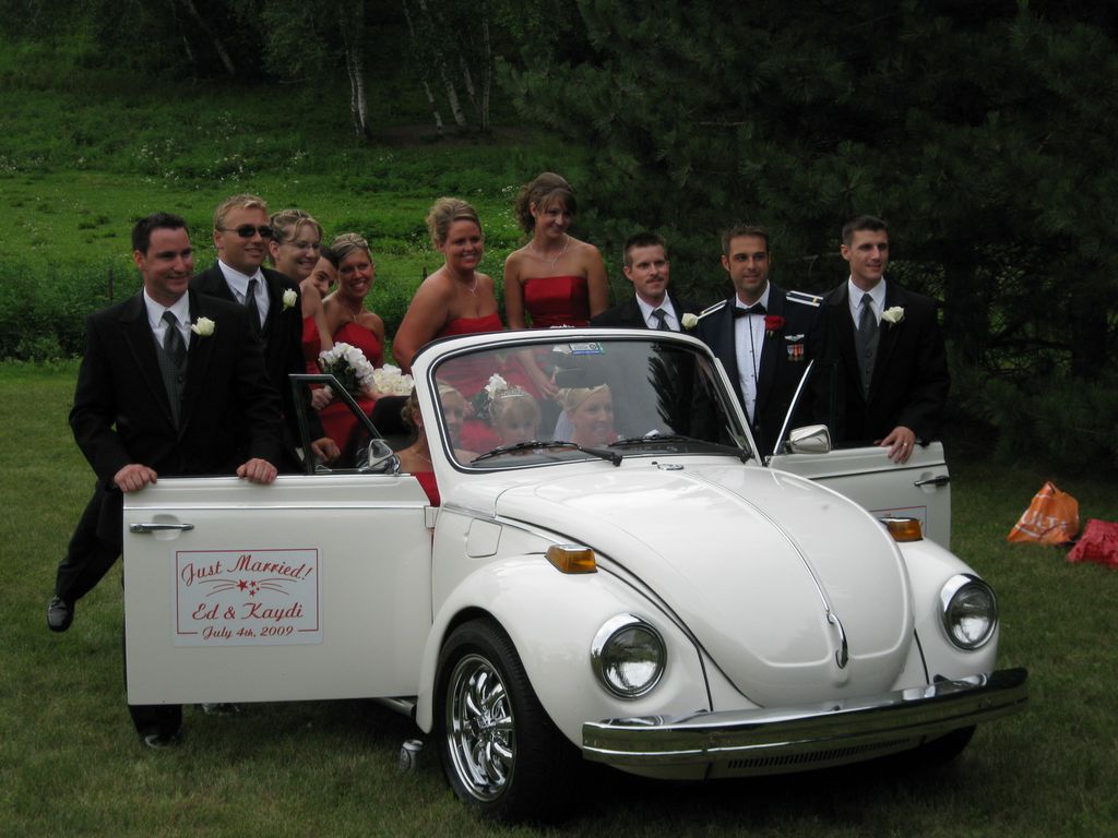 The Wedding Party and the Fatbug