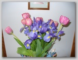 Tulips and Iris 