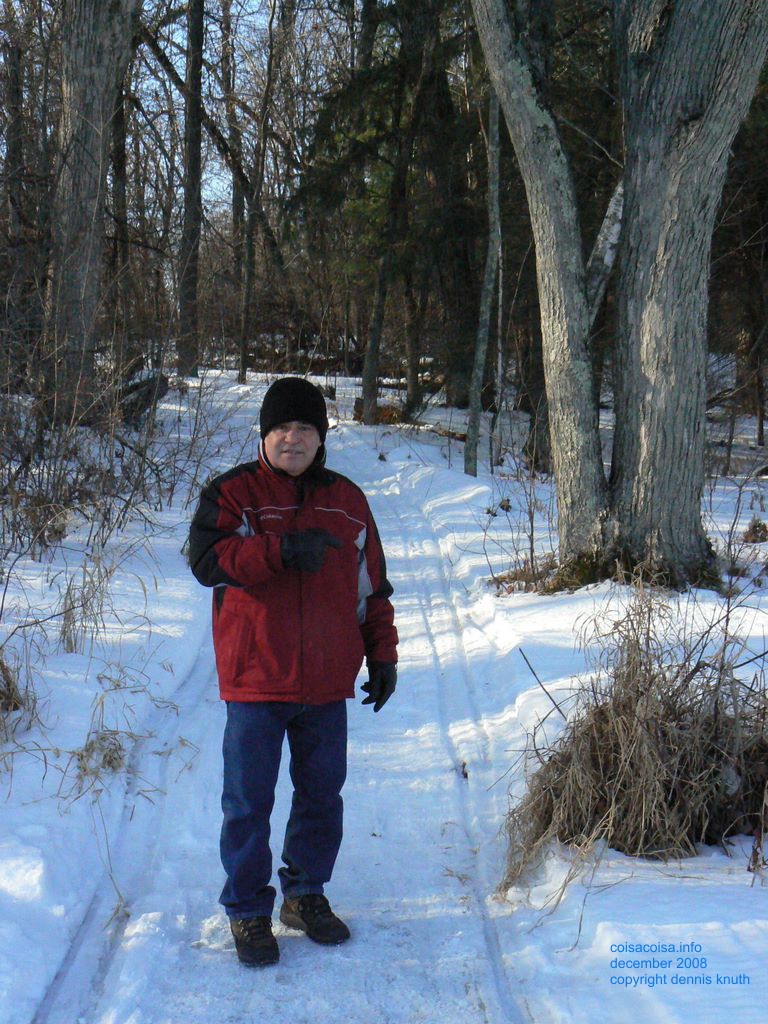 Winter Forest with Helton in it