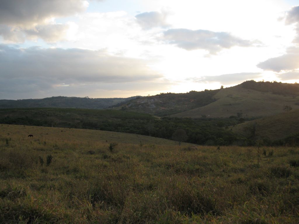 Coffee farm vista and hills in Brazil