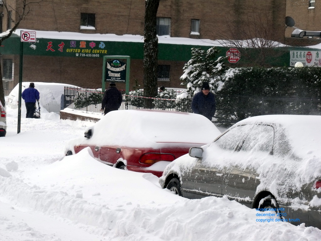 Cars buried by the Blizzard