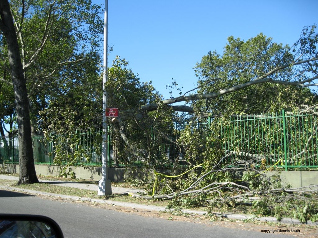 Queens Damage from September 2010 Tornado (large)