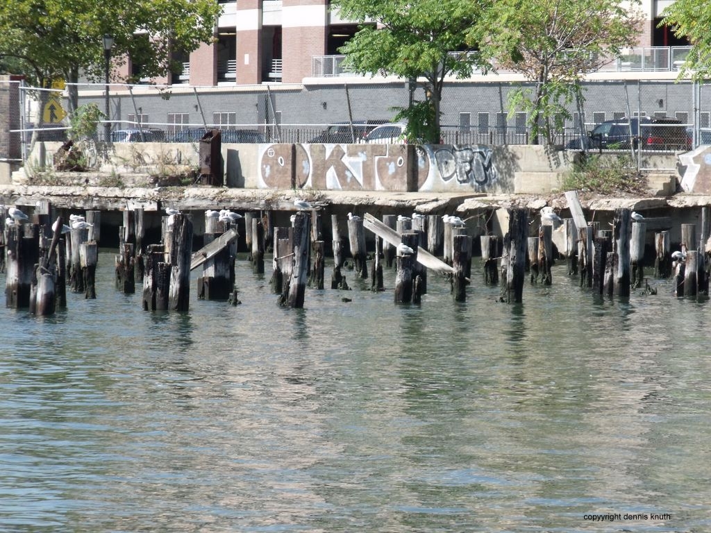 Abandoned Pier on Roosevelt Island on the East River in New York (large)