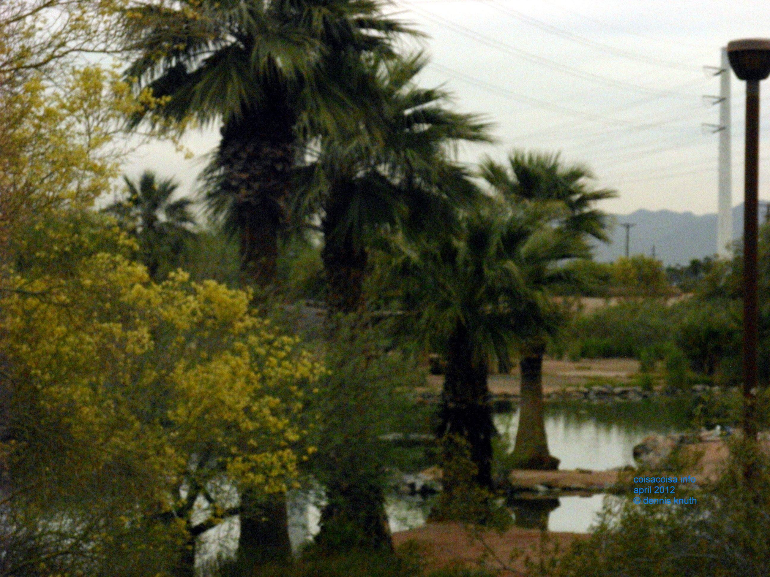 Pond in Papago Park