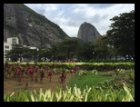 Sugar Loaf park in Rio