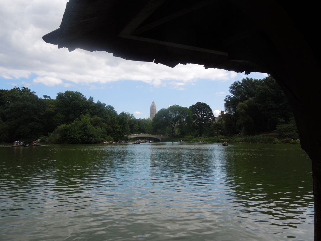 Central Park Pond in August