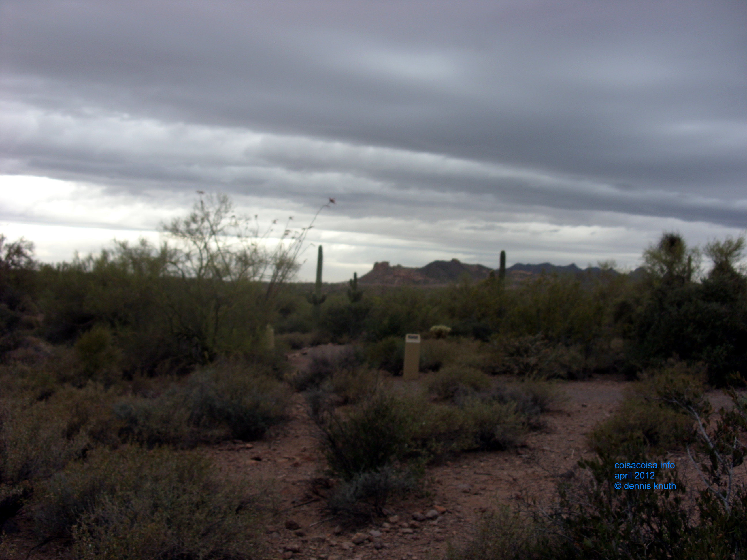 2012_04_26_a_superstition_mountain_0022.jpg (large)