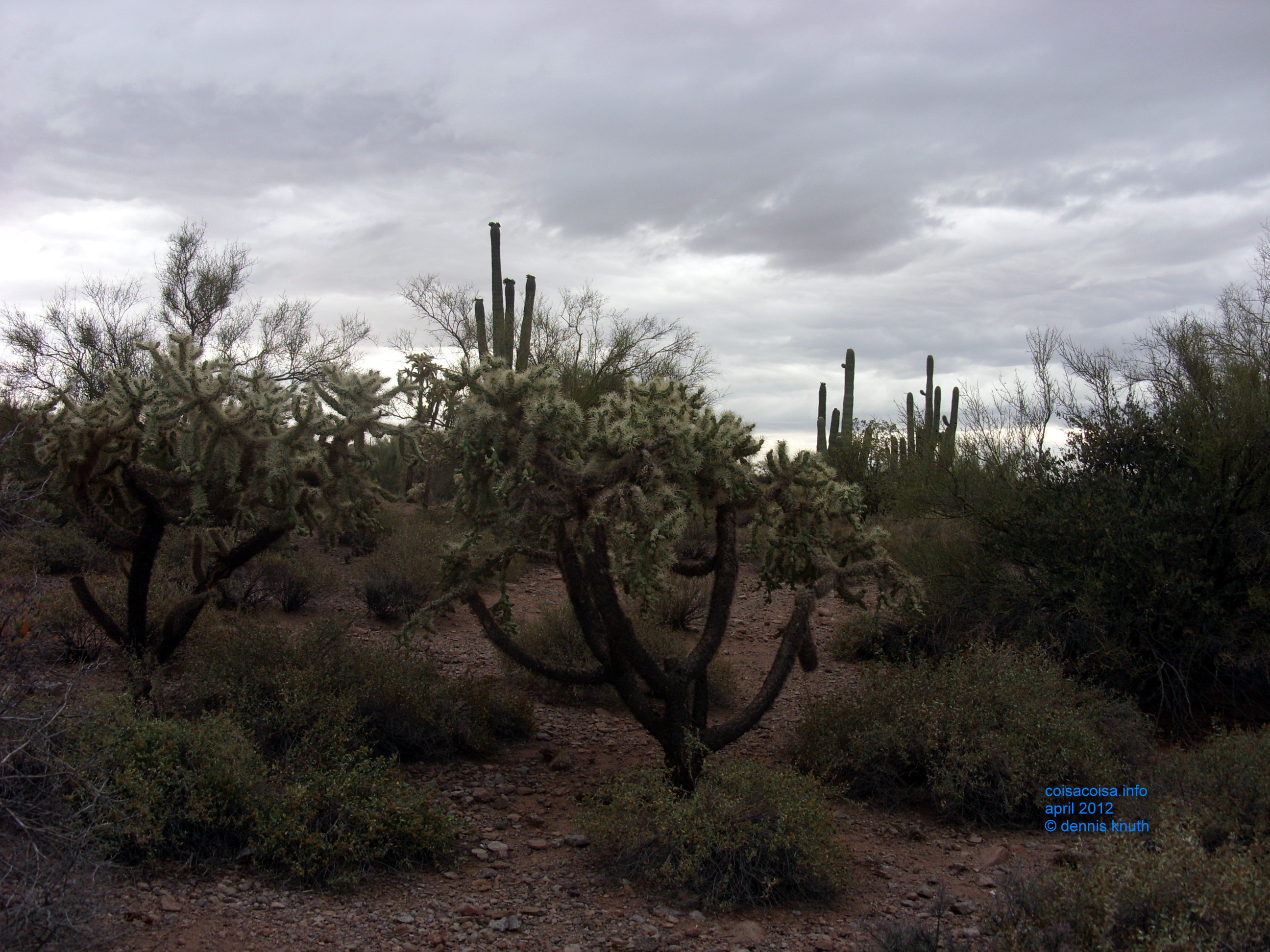 2012_04_26_a_superstition_mountain_0023.jpg (large)