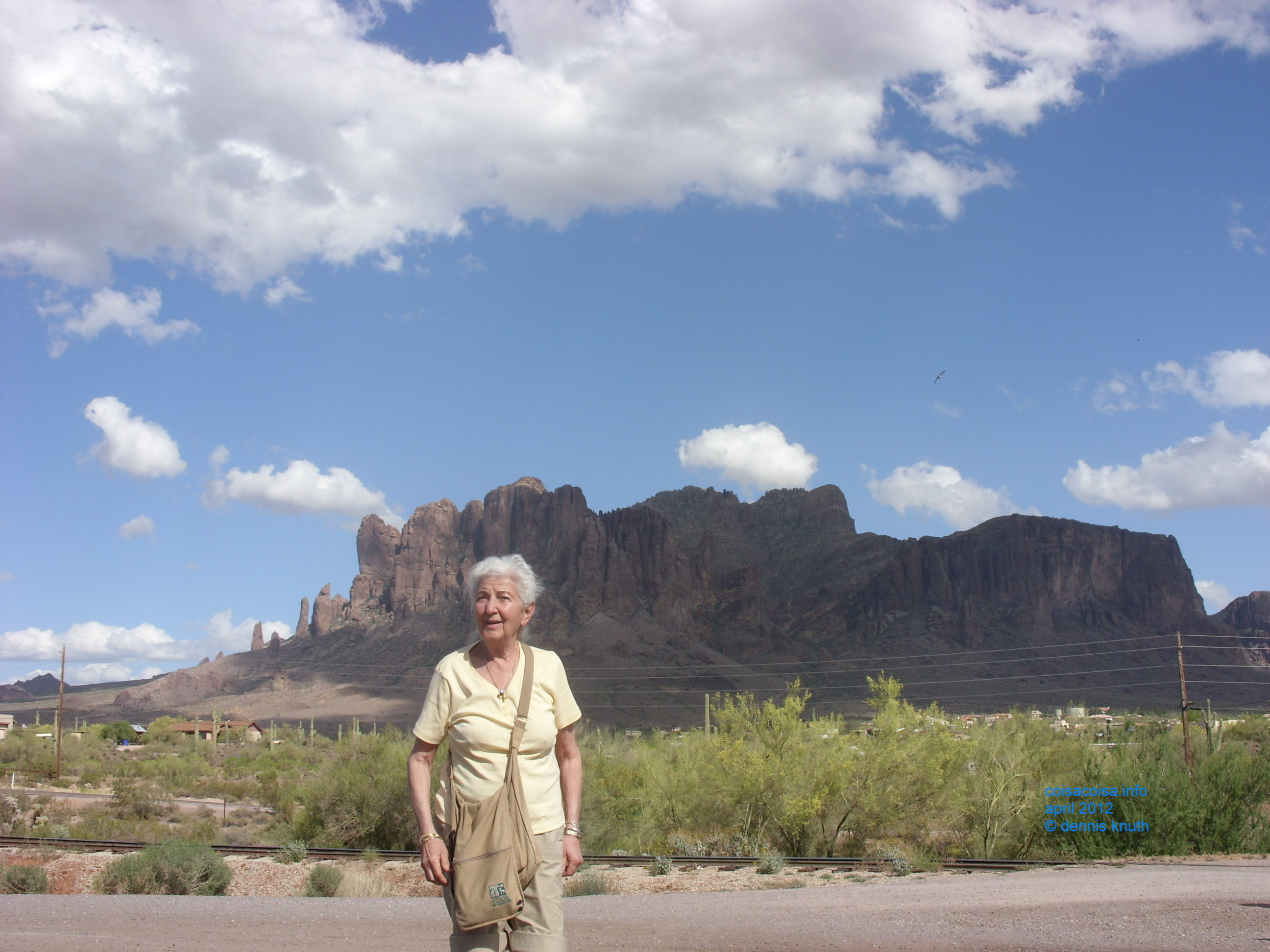 Stella out on the desert near Apache Junction
