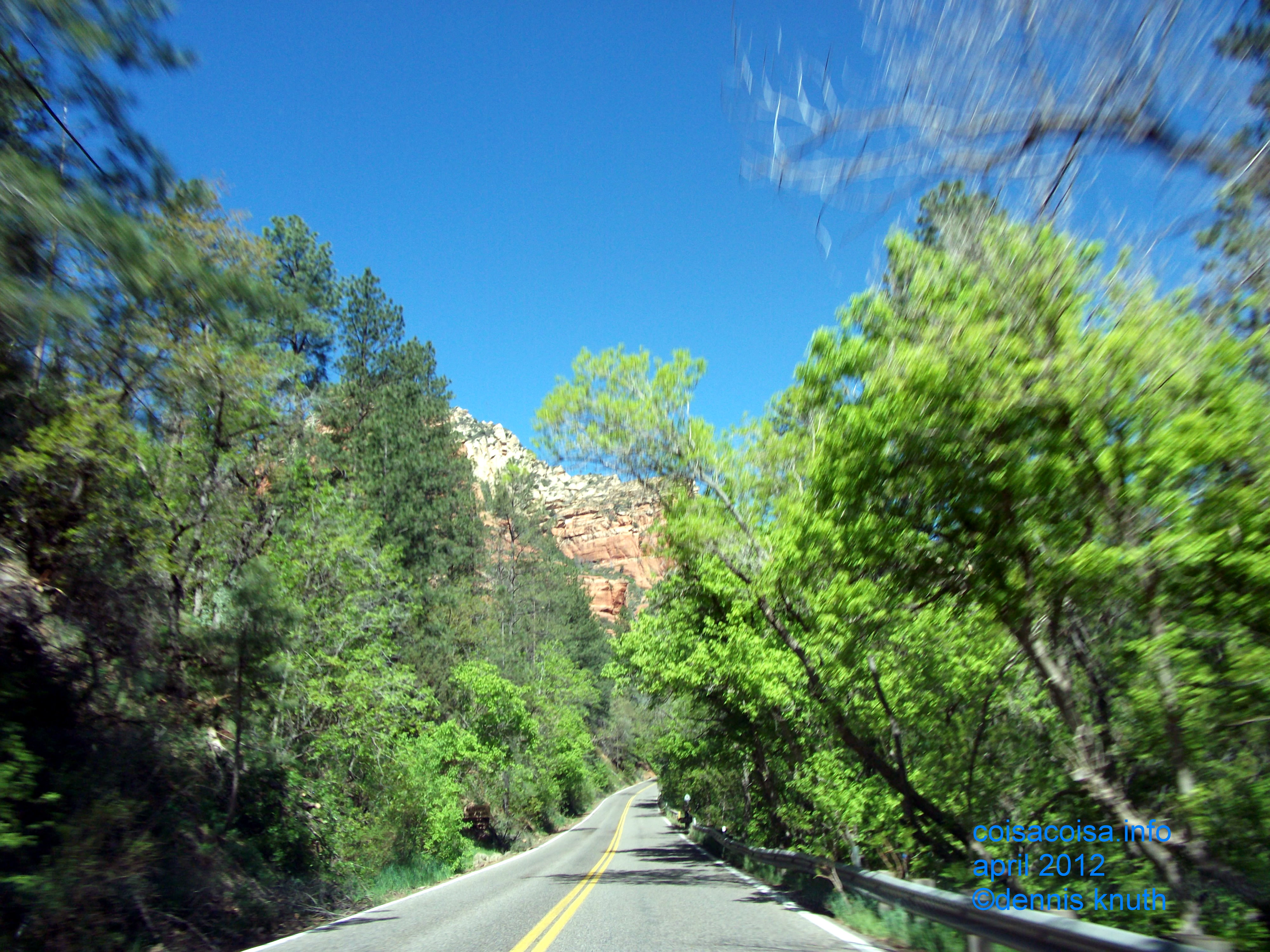 Canyon trees close in on the road