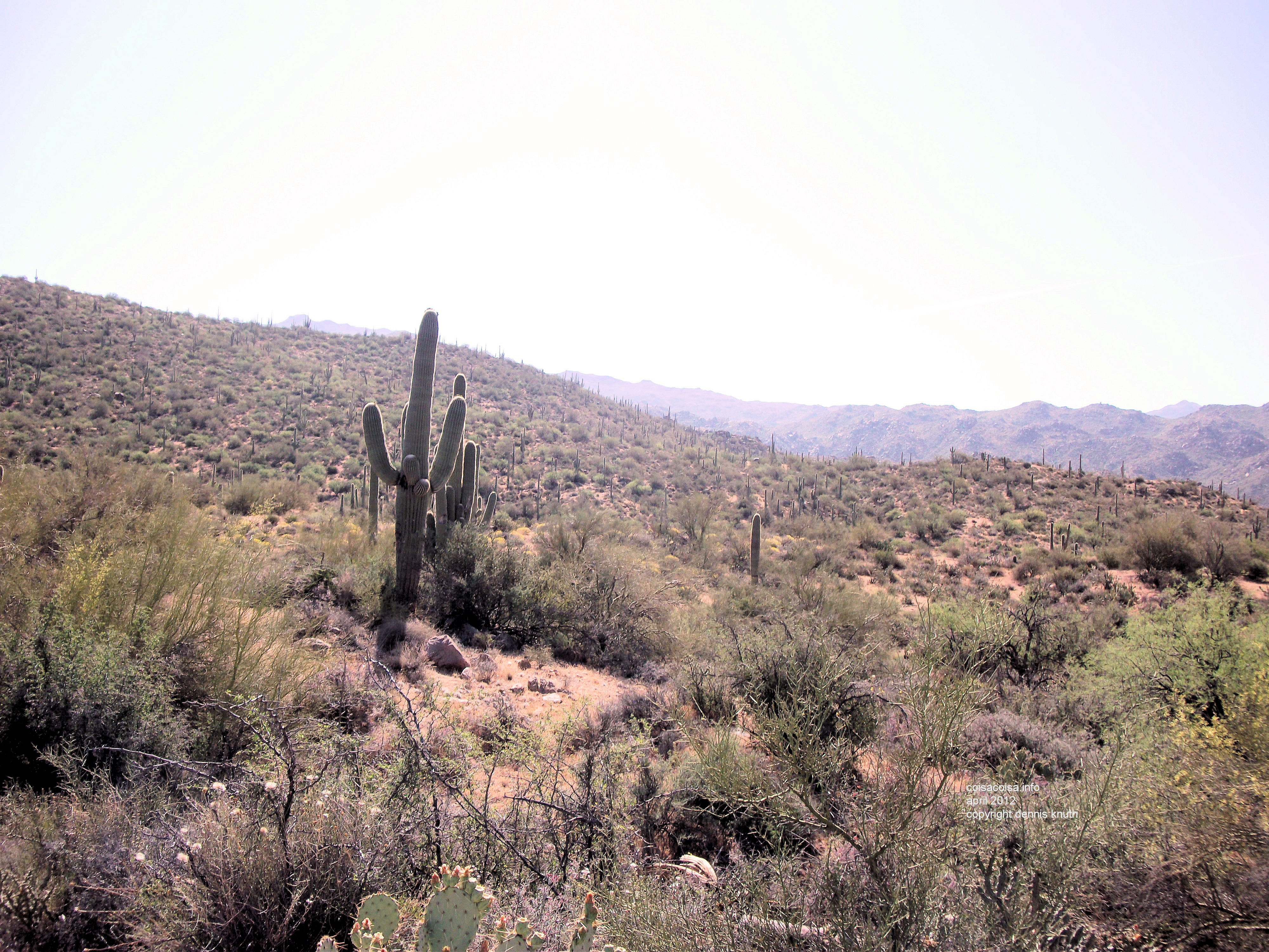The heat of a desert day near Payson Arizona