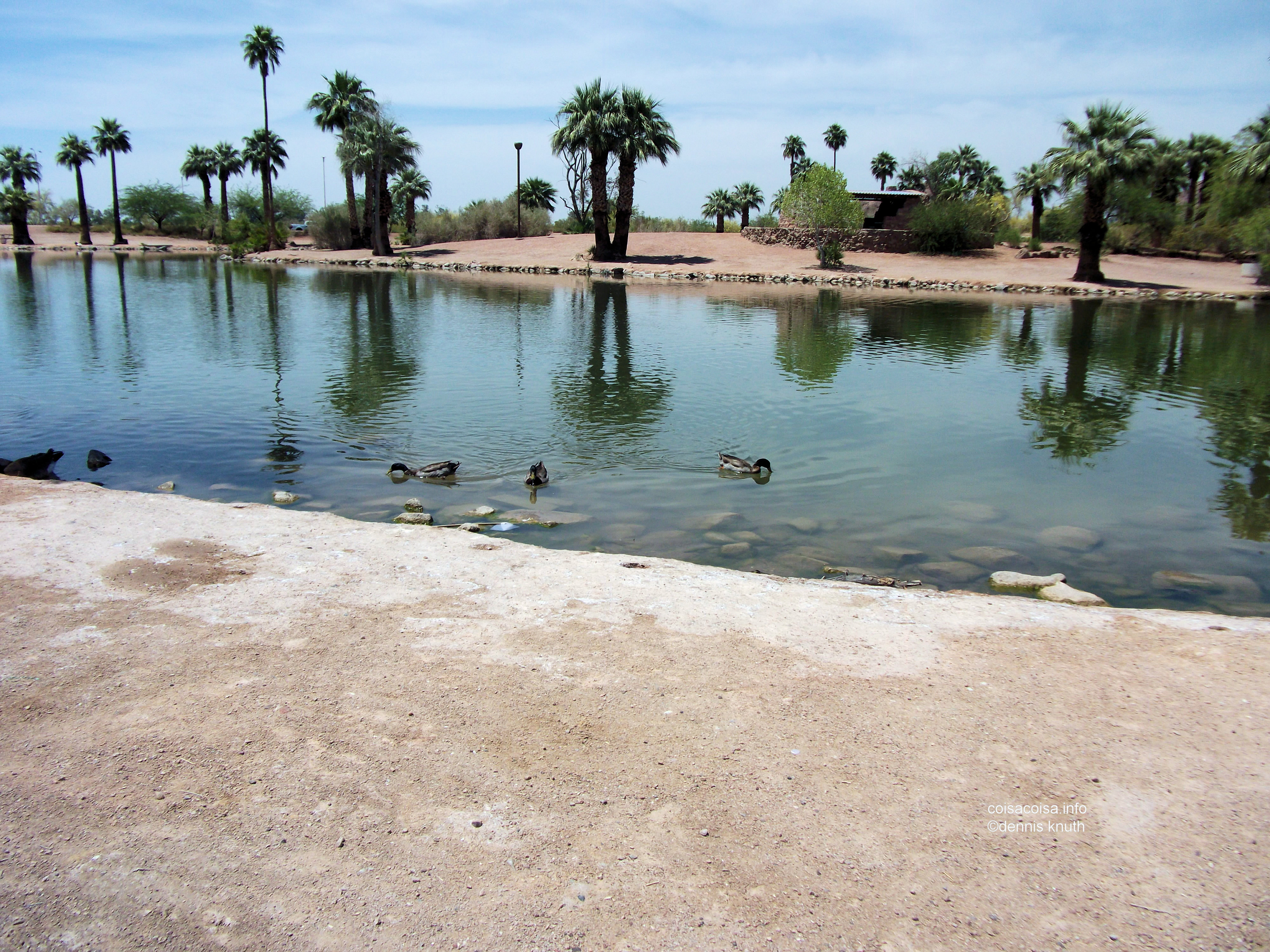 Park Pond in Papago with green water 