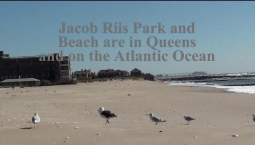 Jacob Riis Park in Rockaway Queens