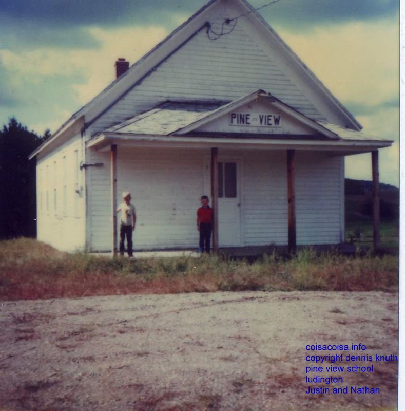 Pine View School in the Town of Ludington