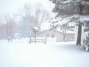 Thumb Winter in Wisconsin on a snowy day