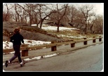 Central Park Jogger