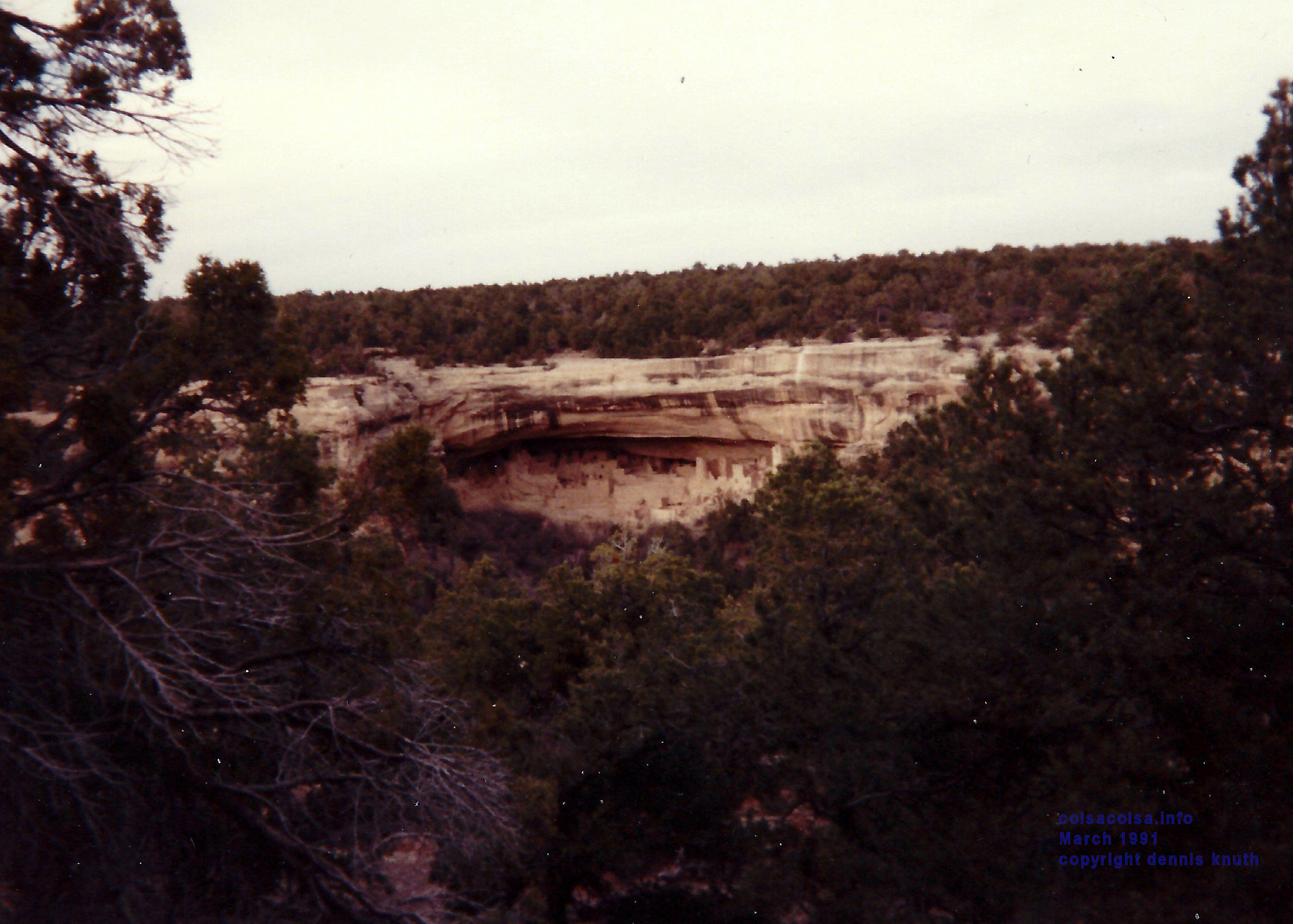 mesa_verde_scene_01.jpg (large)