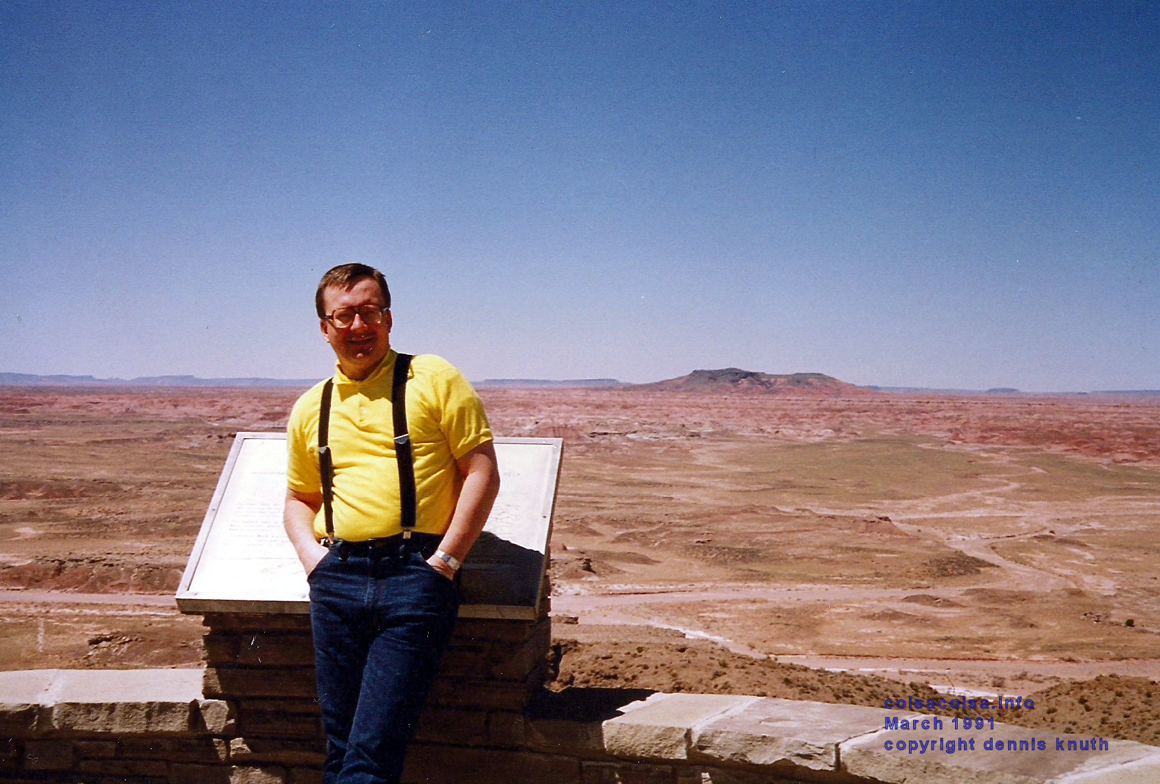 petrified_forest_dennis_01.jpg (large)