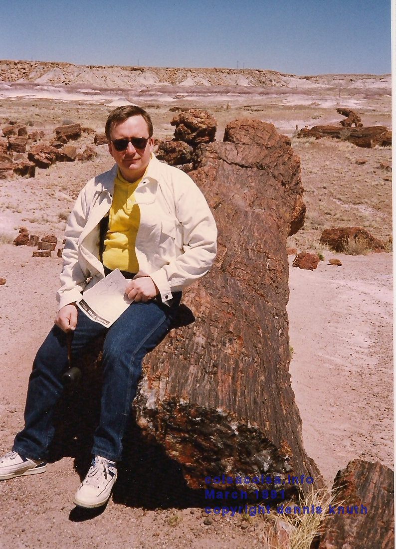 petrified_forest_dennis_02.jpg (large)