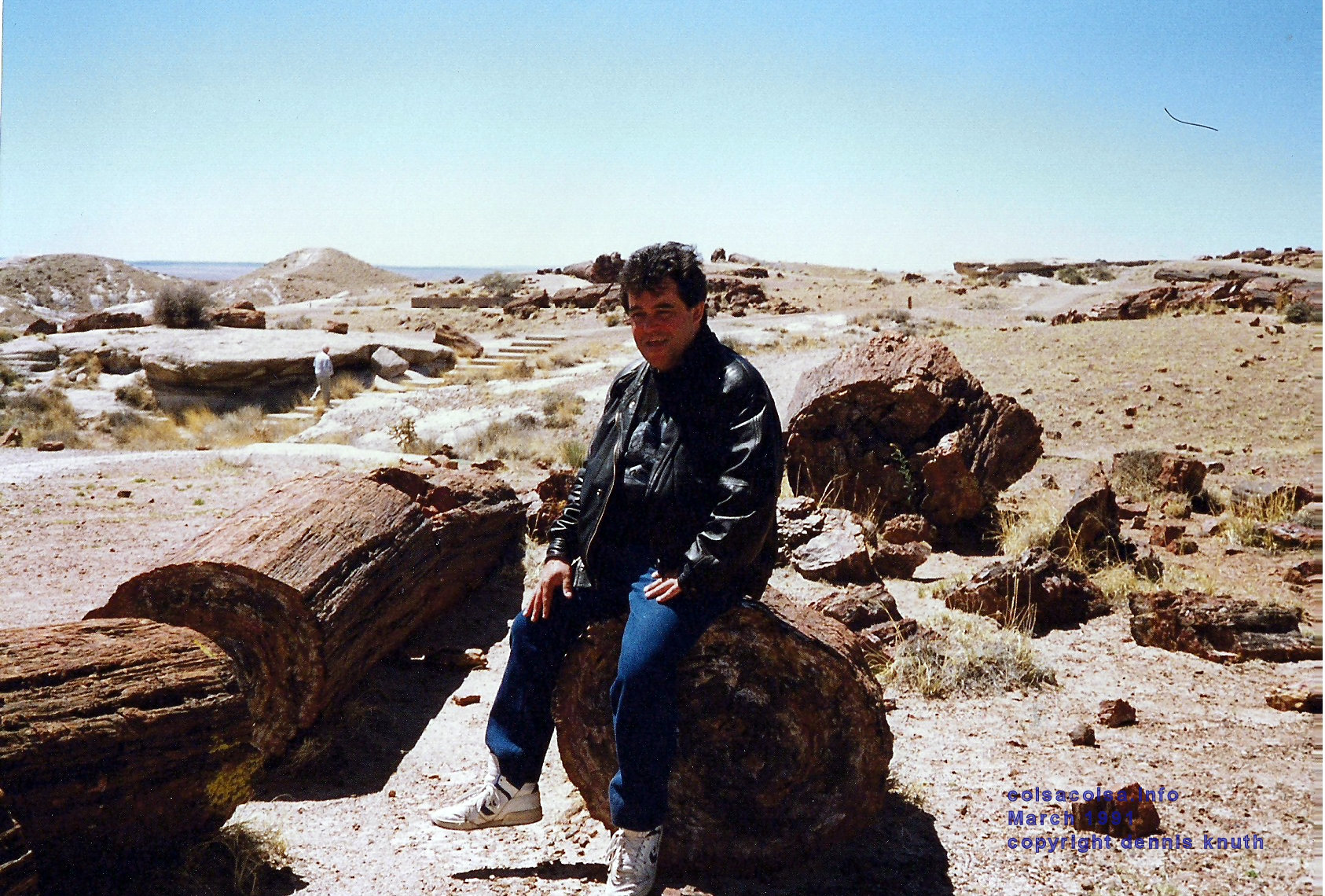 petrified_forest_helton_02.jpg (large)