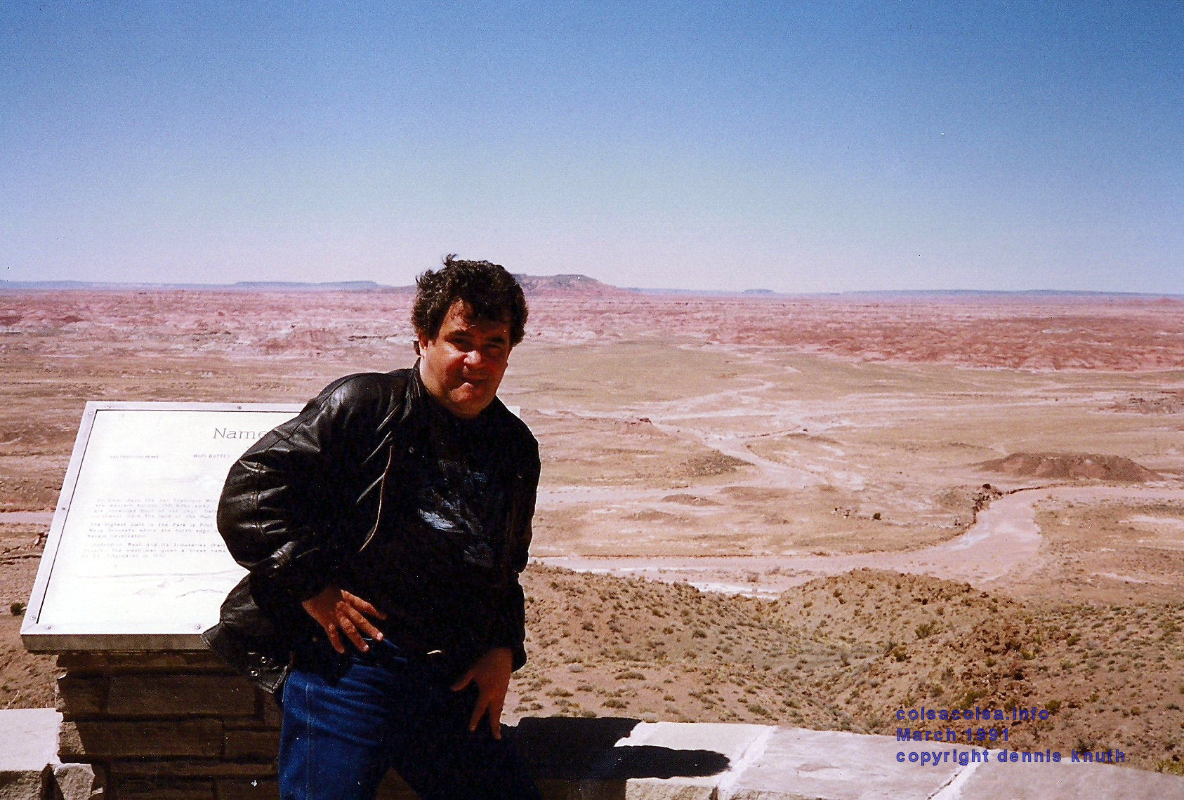 petrified_forest_helton_03.jpg (large)