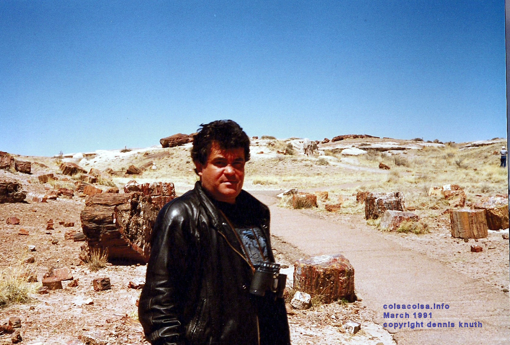 petrified_forest_helton_05.jpg (large)