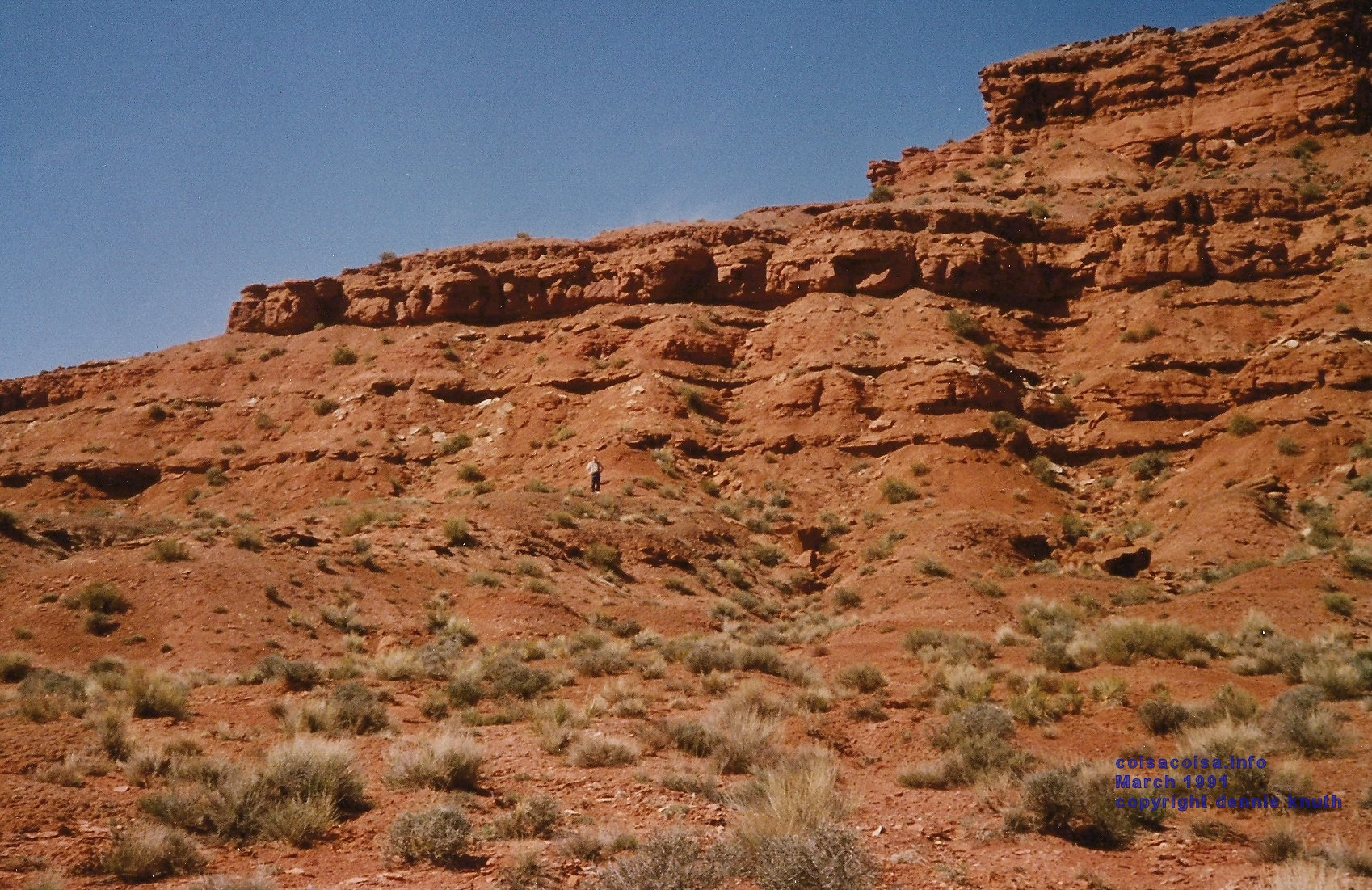 Find Dennis in this photo