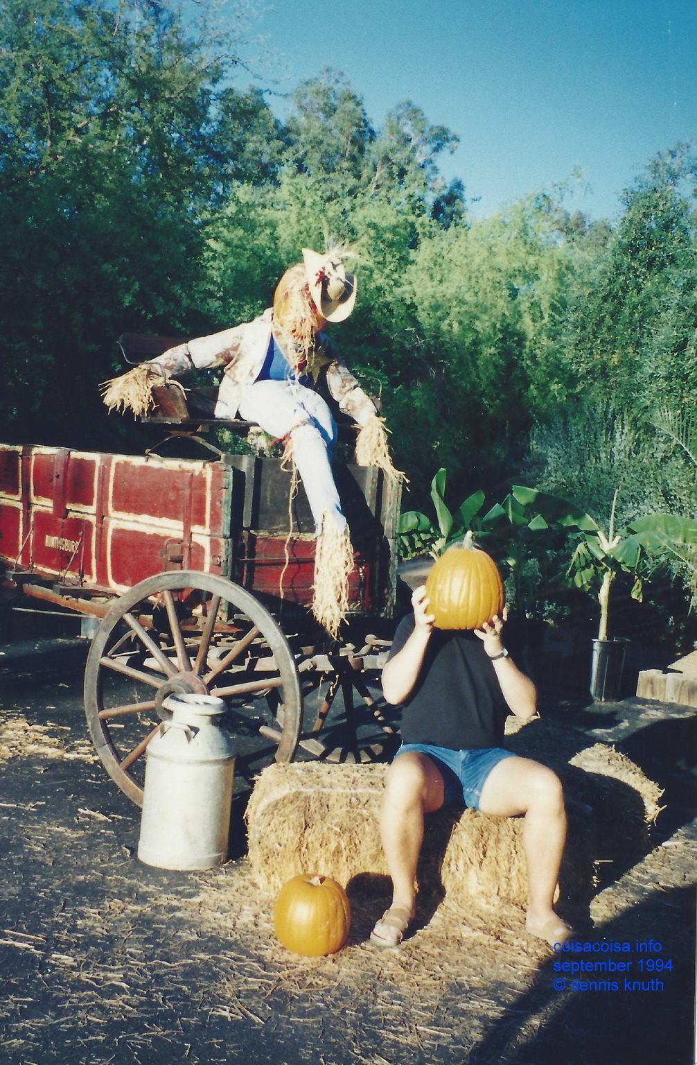 Dennis Knuth as a pumpkin Head at the phoenix zoo