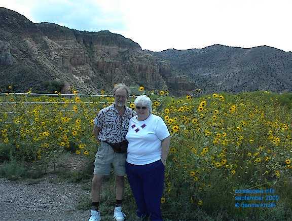 Erv and Gloria and Daisies