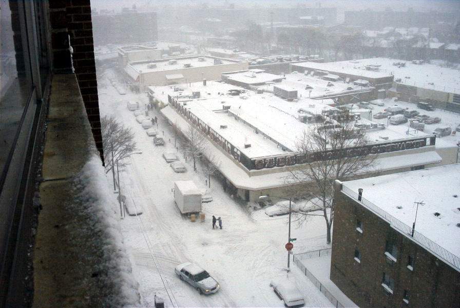 Snowy Elmhurst