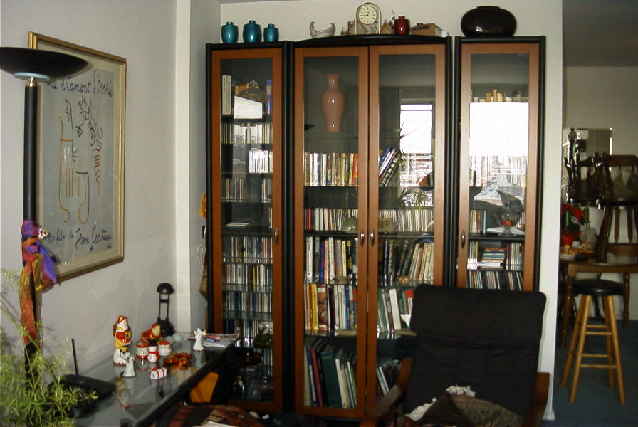 Duplicate Bookcase