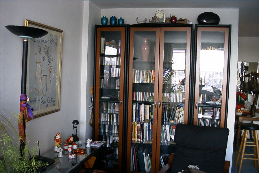 Decorated Bookcase