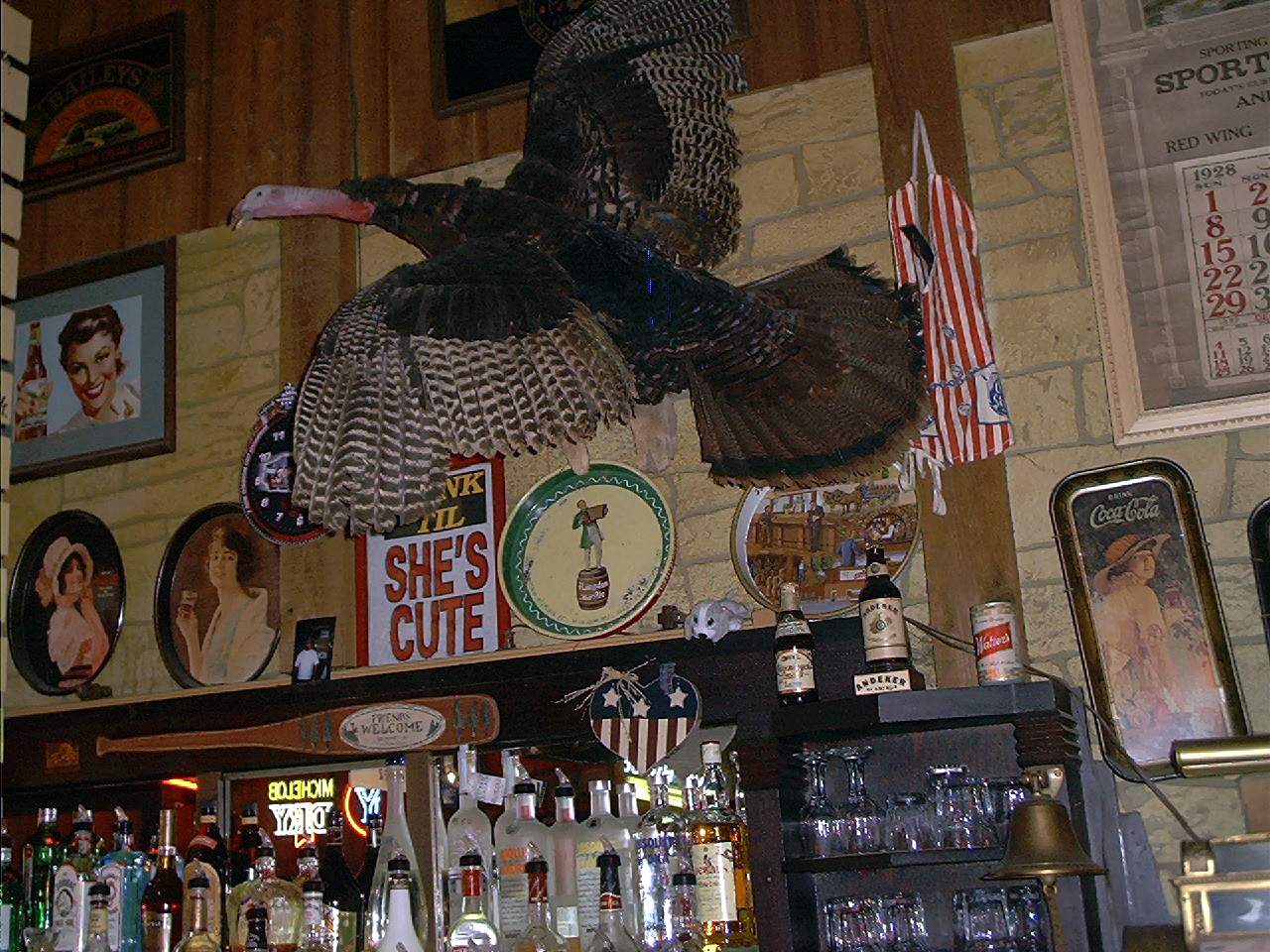 Wisconsin Wild Turkey over a bar