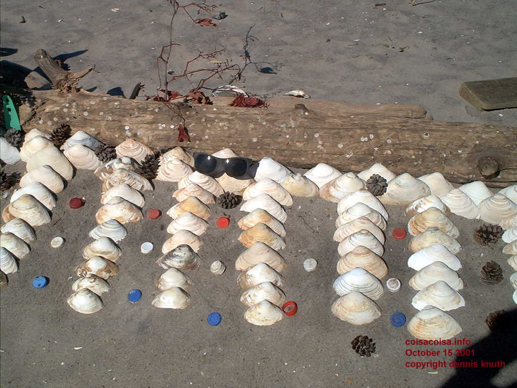 Beach Voodoo art