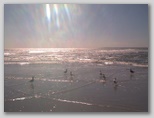 October 2001 Beach Day at Riis Park in Queens New York
