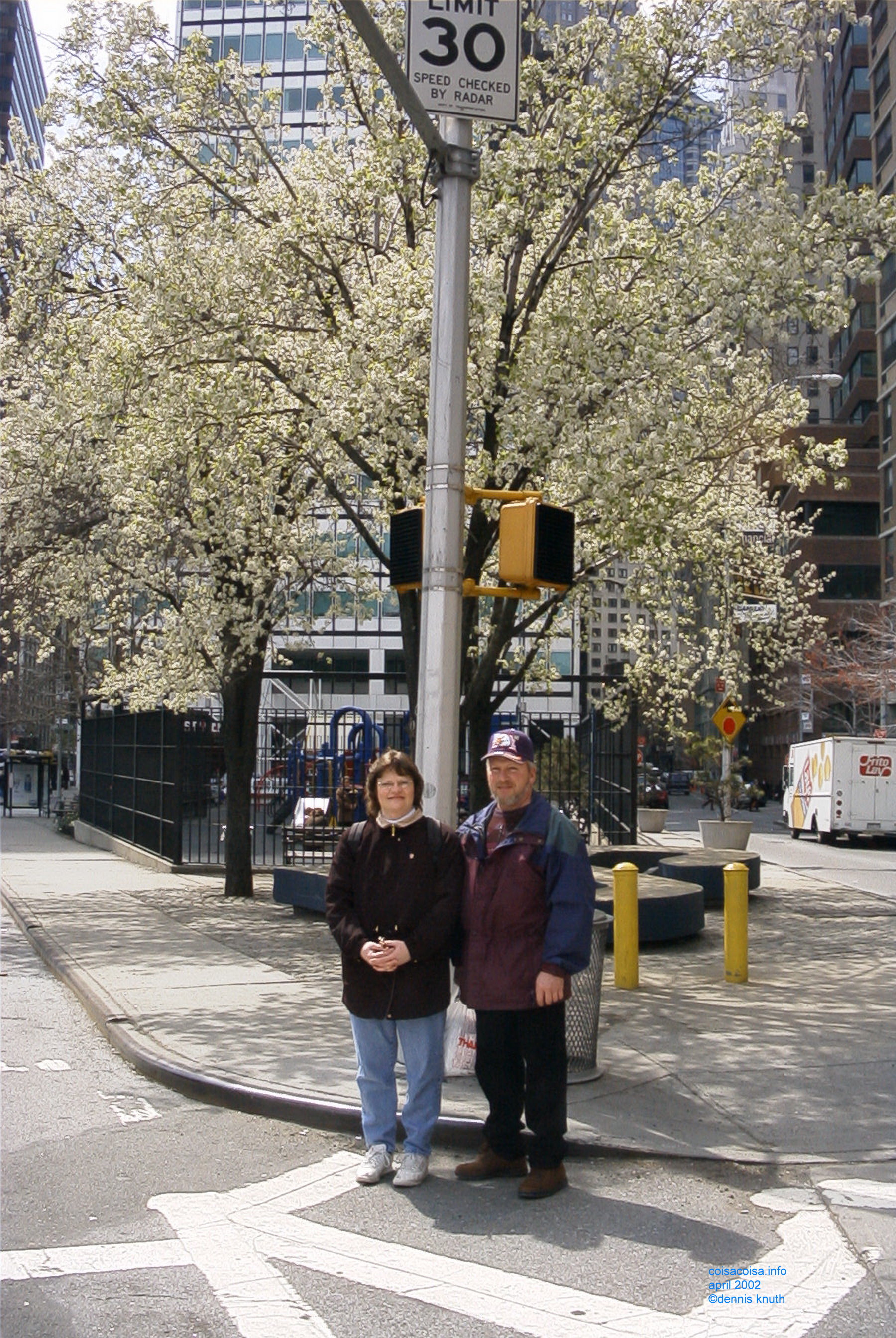 Flowering Trees and the Saxes