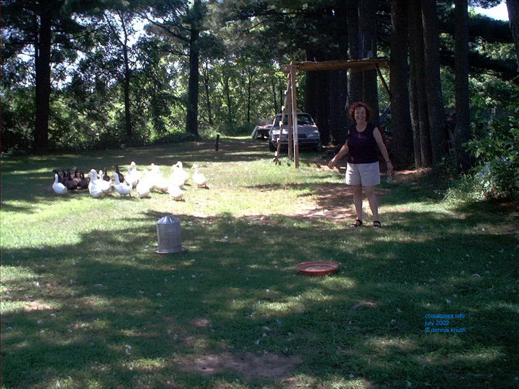 Janine chasing geese in Wisconsin