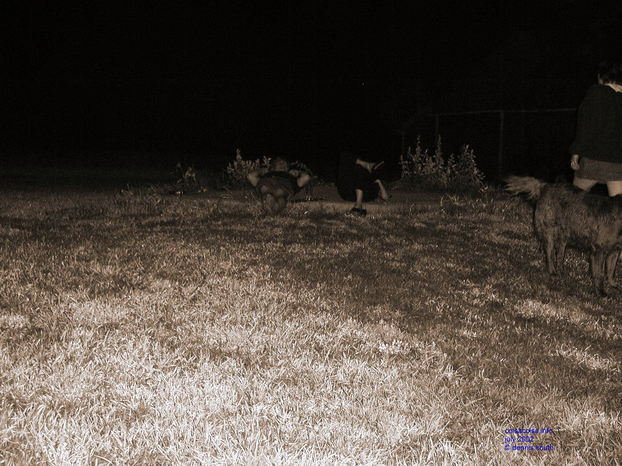 Dennis and Silesa looking up at the stars